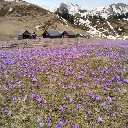 ベラネ Katun Siska Medna Dolinaヴィラ エクステリア 写真