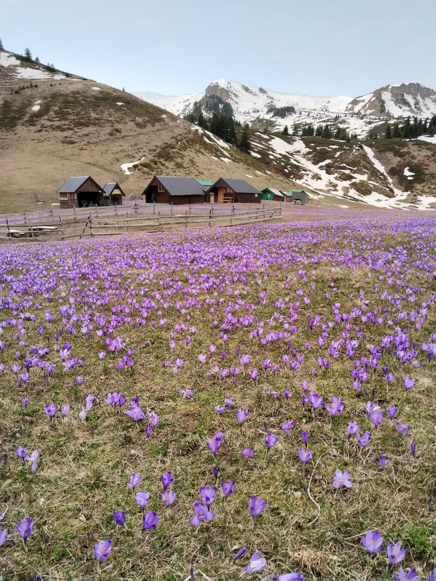 ベラネ Katun Siska Medna Dolinaヴィラ エクステリア 写真